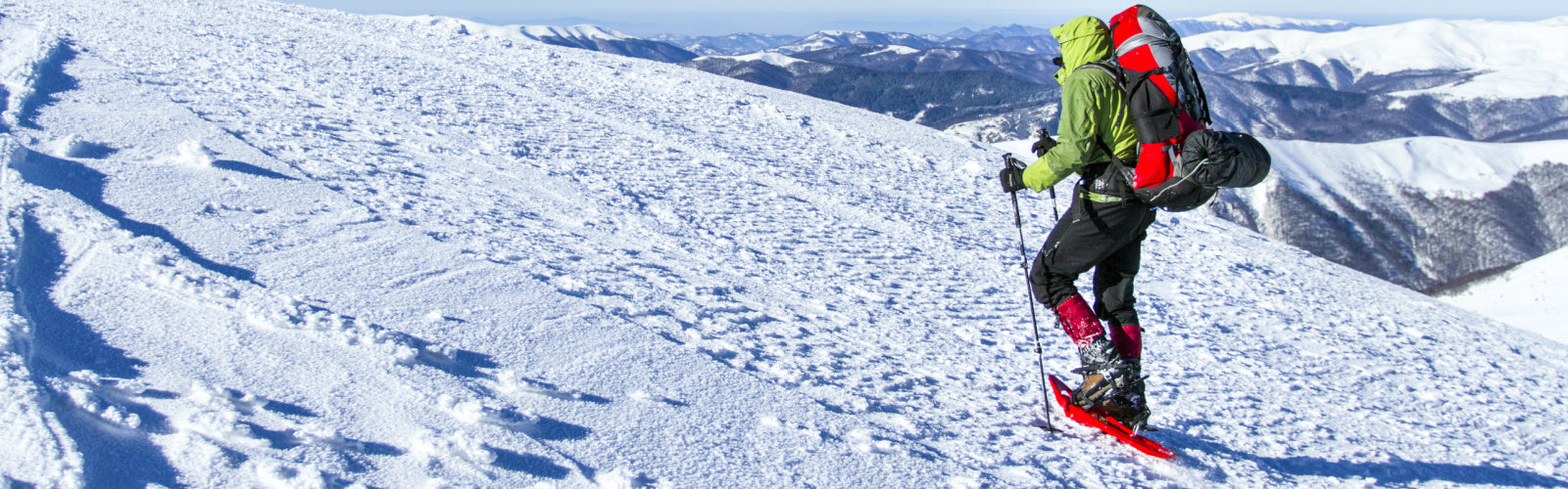 Outer Layer Fabrics Collection