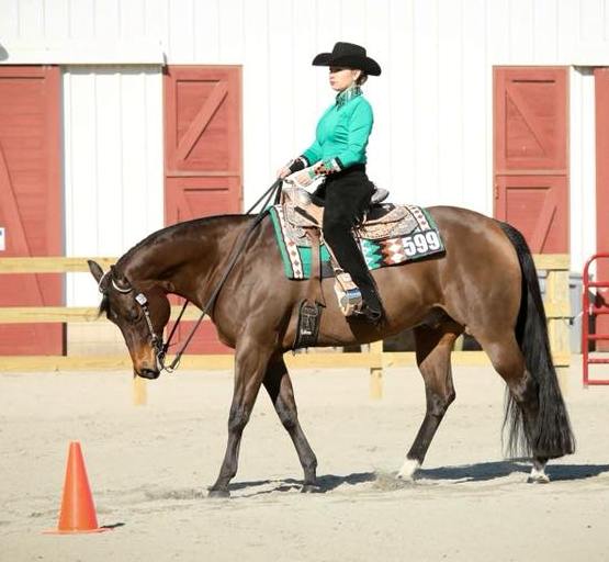 Misses Horsemanship Shirt Pattern #1200