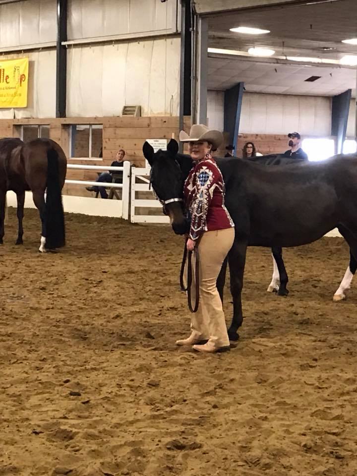Showmanship pants - boot cut - Child - #3105