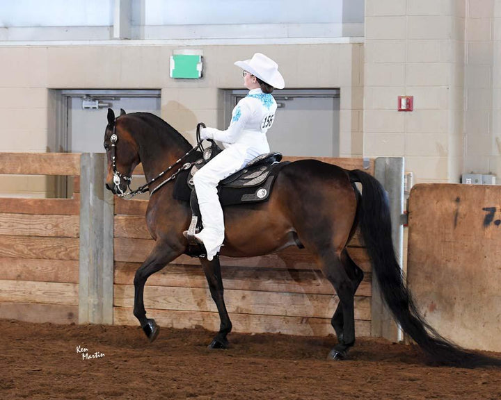 Western Show Chaps. Fringed leg. Child. #2105