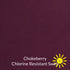 Chlorine Resistant Swim Fabrics
