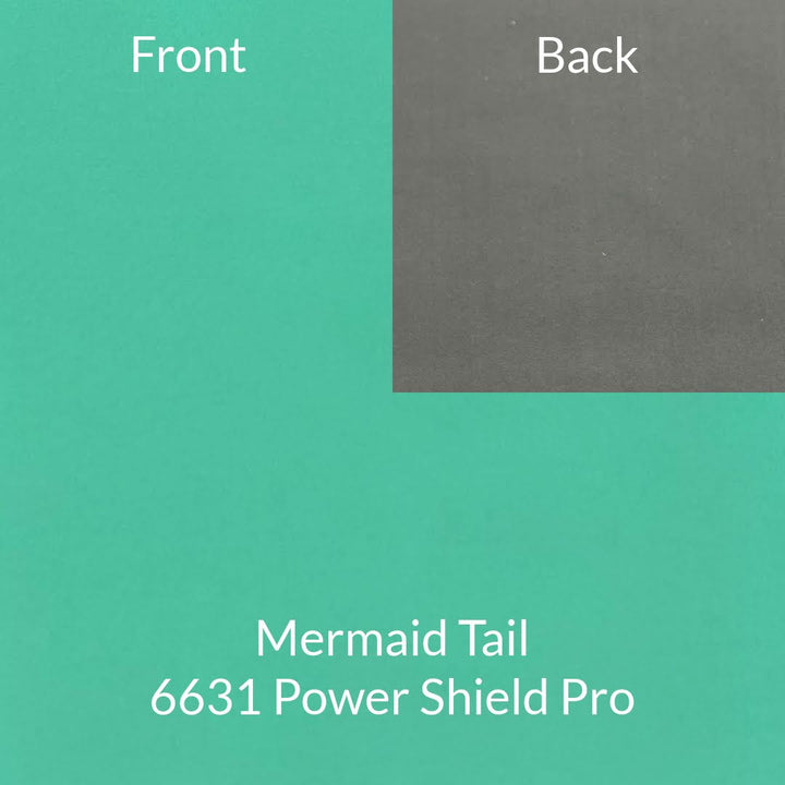 Remnants - Shells and Softshells