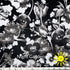 shades of grey and white pansies and tulips on black background sun protective breathe tek athletic fabric