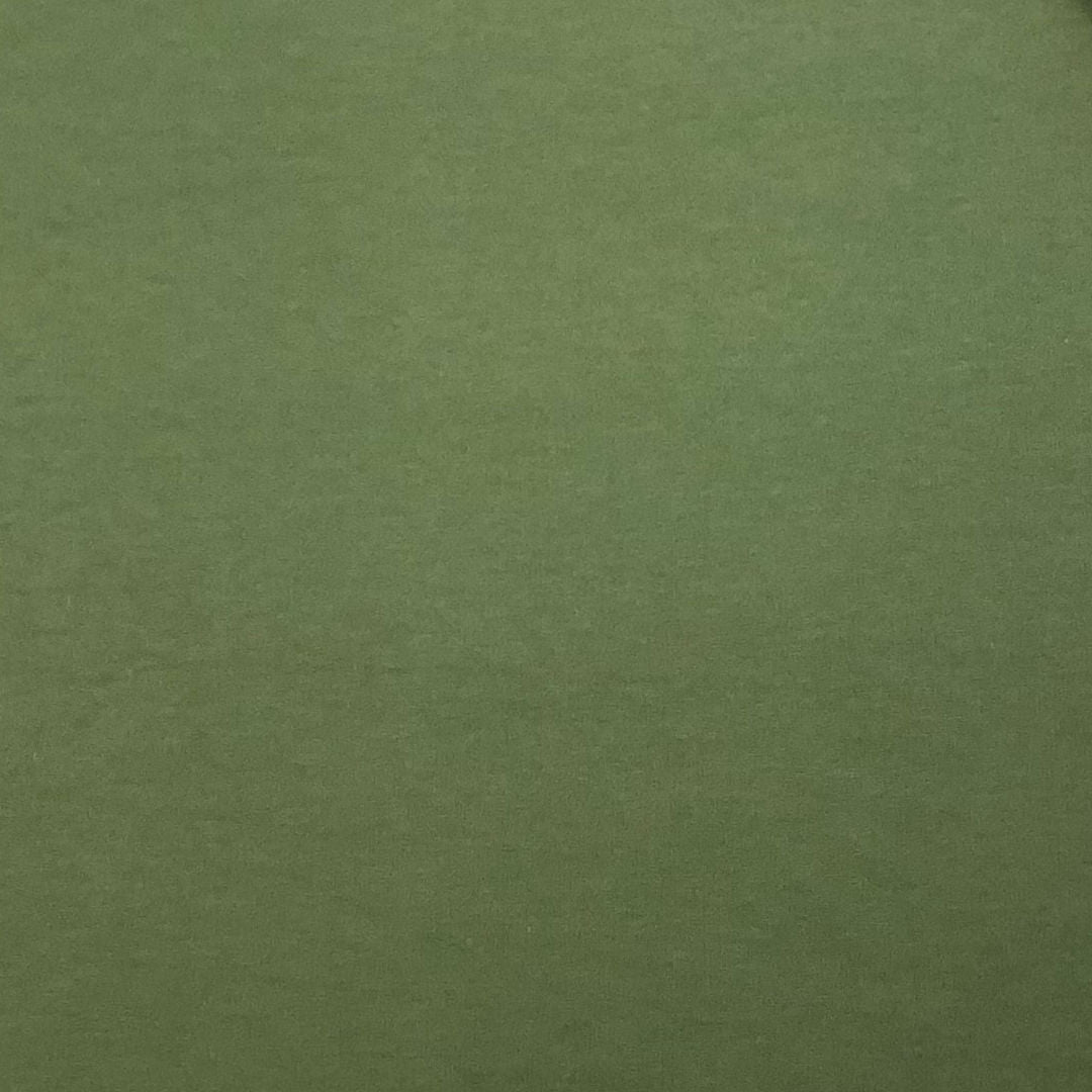moss green bamboo terry fabric